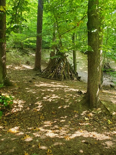 Fasanerieweg ab Tier- und Pflanzenpark Fasanerie Wiesbaden