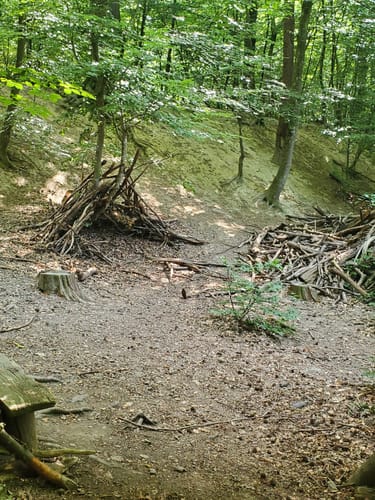 Fasanerieweg ab Tier- und Pflanzenpark Fasanerie Wiesbaden