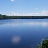 White Pond Trail, New York - 211 Reviews, Map | AllTrails