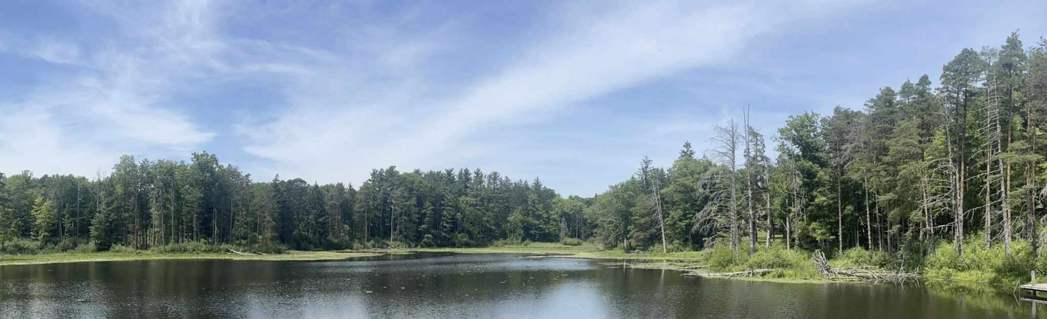 Camp Hilaka Lake Loop via Buckeye - EyJidWNrZXQiOiJhc3NldHMuYWxsdHJhaWxzLmNvbSIsImtleSI6InVwbG9hZHMvcGhvdG8vaW1hZ2UvNDg3MjQ2MzQvY2U1MTI2ZDNiM2IwZjYwODQ4NDZkZjZkMjc5OTVjYTQuanBnIiwiZWRpdHMiOnsidG9Gb3JtYXQiOiJqcGVnIiwicmVzaXplIjp7IndpZHRoIjoyMDQ0LCJoZWlnaHQiOjYyNCwiZml0IjoiY292ZXIifSwicm90YXRlIjpudWxsLCJqcGVnIjp7InRyZWxsaXNRdWFudGlzYXRpb24iOnRydWUsIm92ZXJzaG9vdERlcmluZ2luZyI6dHJ1ZSwib3B0aW1pc2VTY2FucyI6dHJ1ZSwicXVhbnRpc2F0aW9uVGFibGUiOjN9fX0=