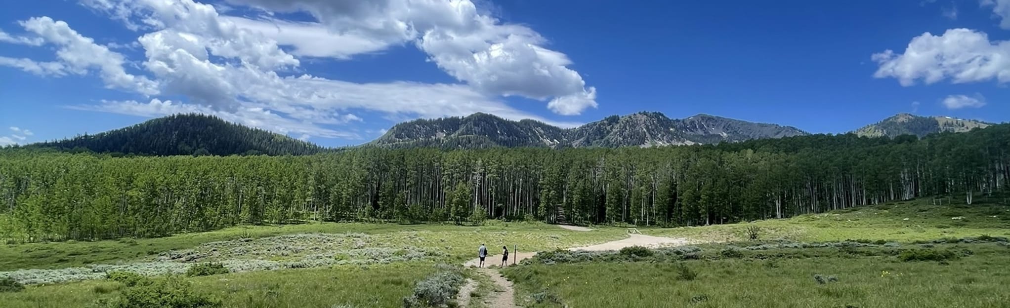 Little Joe Loop 210 Reviews, Map Utah AllTrails