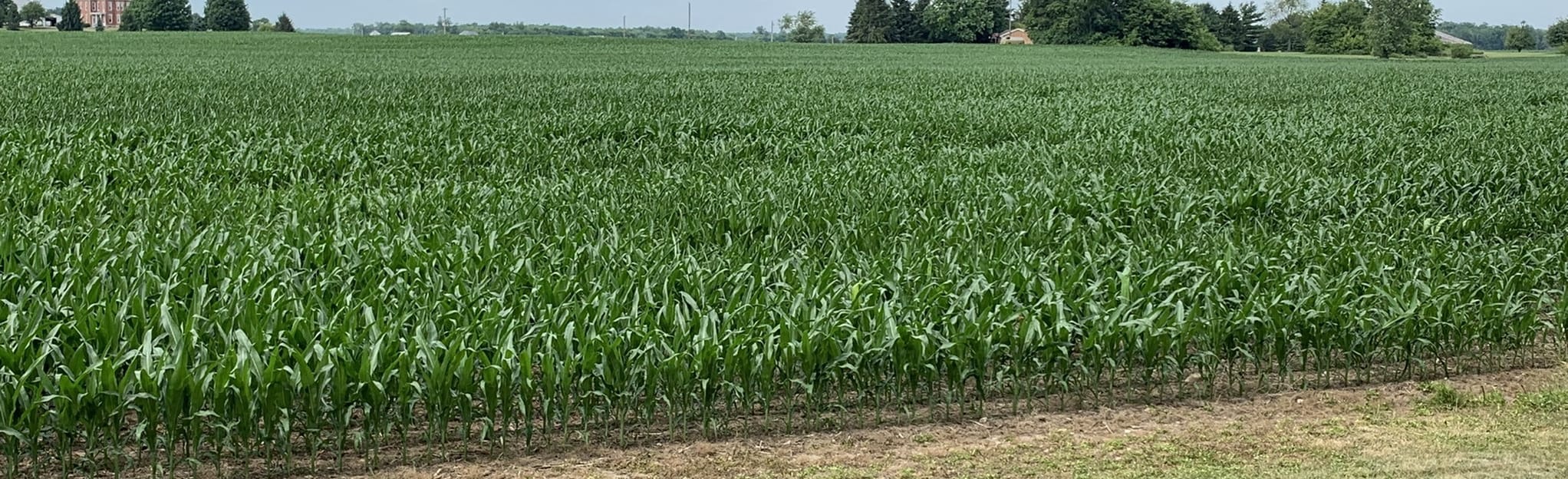 Pottersburg Bridge Trail 90 Reviews, Map Ohio AllTrails