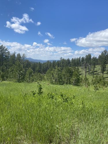 2023 Best 10 Trails and Hikes in Sturgis | AllTrails