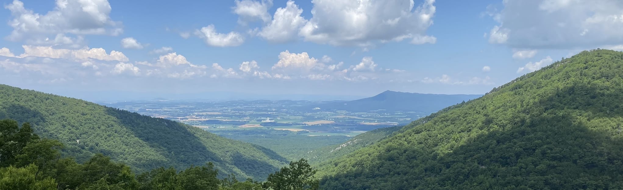 Rockytop and Big Run Loop 90 Reviews, Map Virginia AllTrails