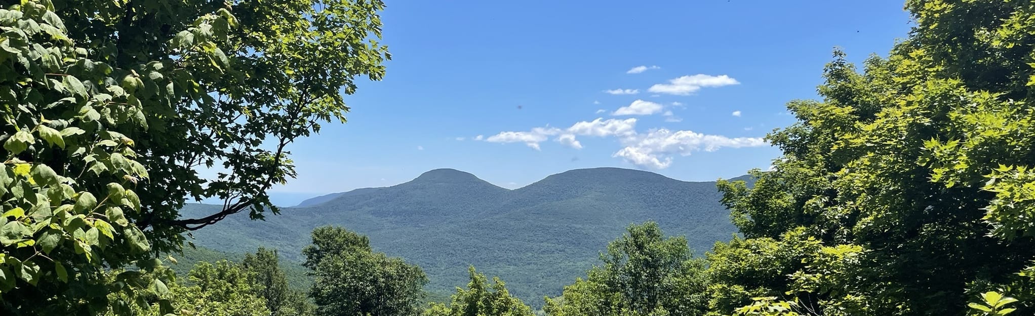 Escarpment Trail to Elm Ridge Shelter, New York 40 Reviews, Map AllTrails