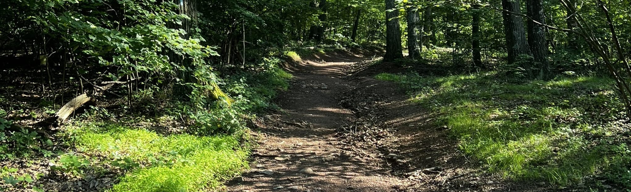 Eagles Nest via Tuscarora Trail: 37 foto's - West Virginia | AllTrails