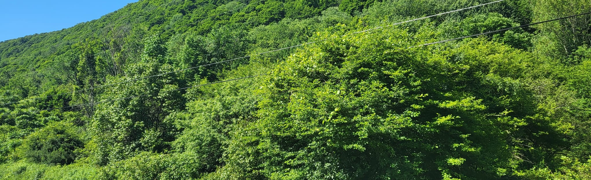 AllTrails Labrador Hollow to Heiberg Memorial Forest via Skyline
