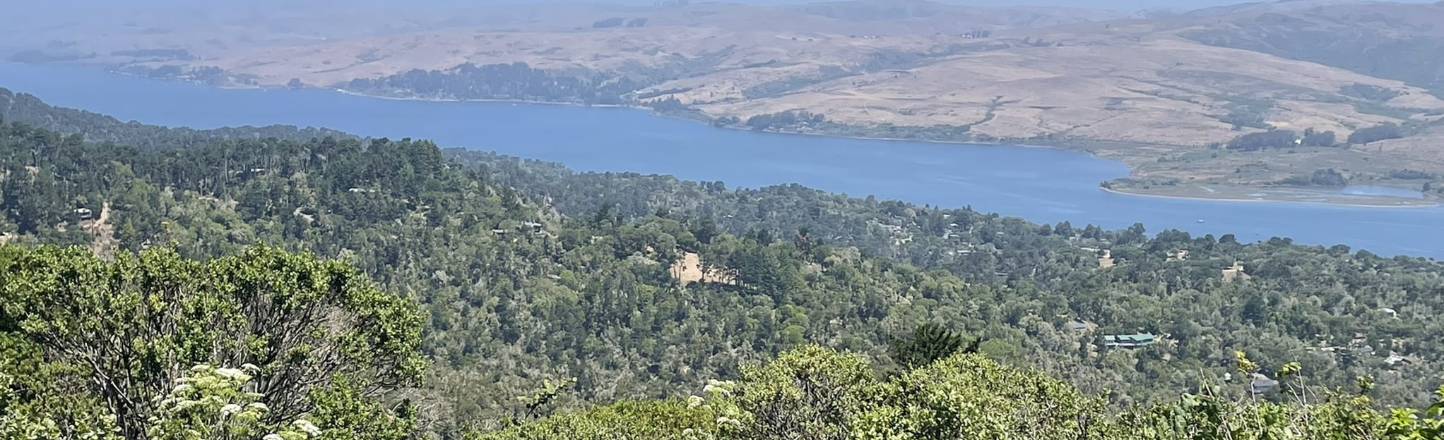 Perth Fire Road Mount Vision Inverness Ridge California AllTrails