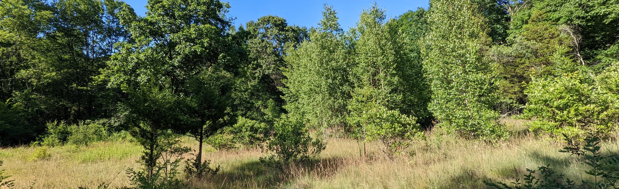 Ward Pound Ridge Red Loop Trail Map, Guide New York AllTrails