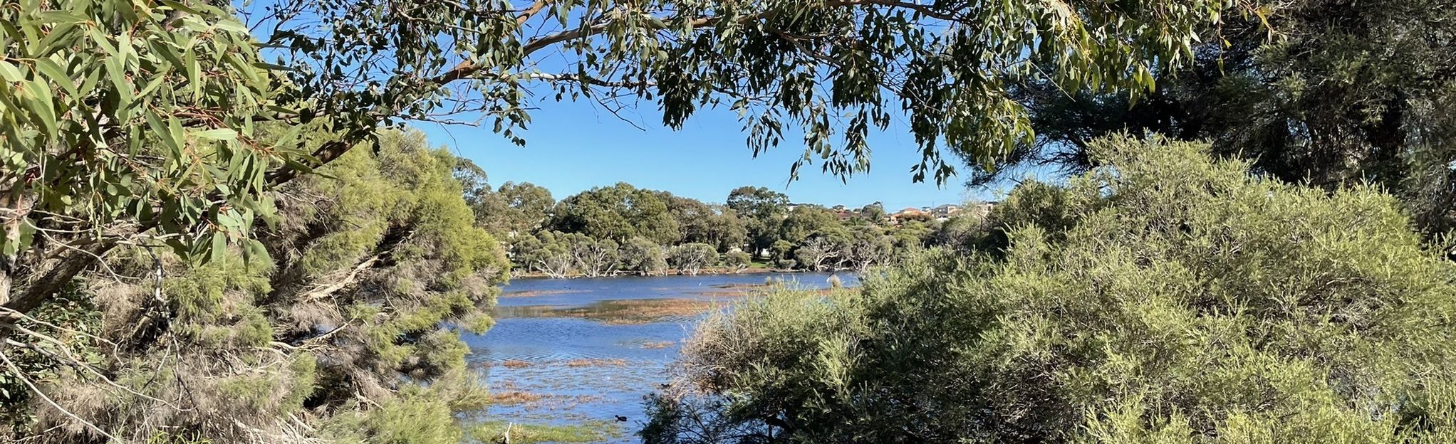 Market Garden Swamp Loop, Western Australia, Australia - 14 Reviews ...