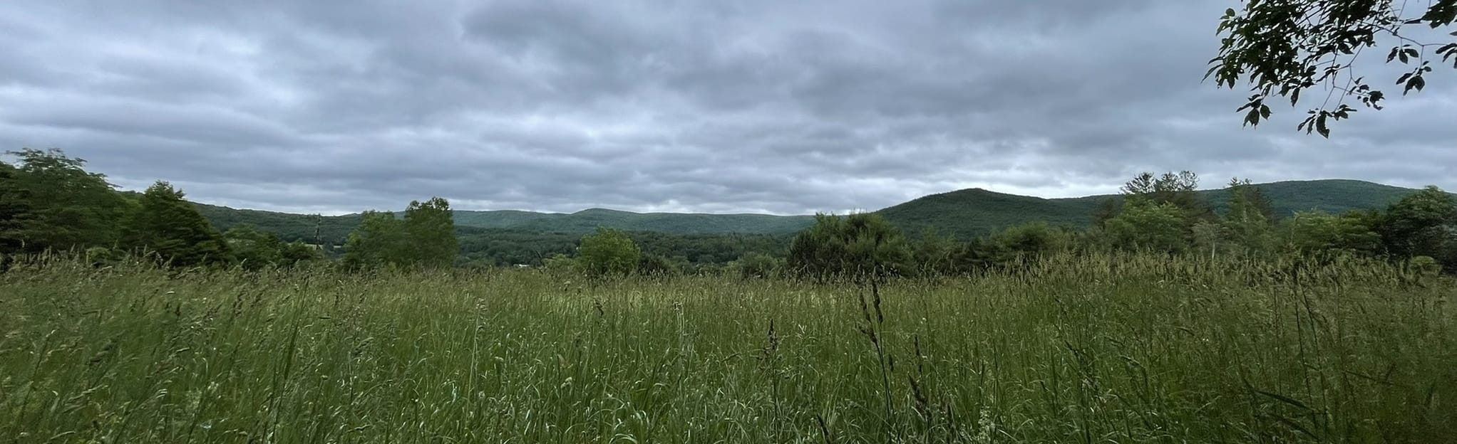 Massachusetts Mt. Greylock State ReservationTitle