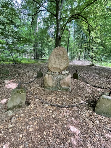 Durchs Syker Friedeholz
