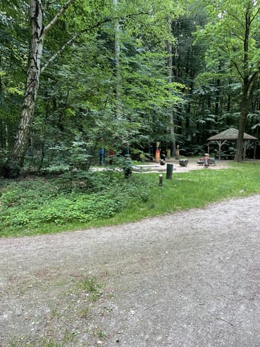 Durchs Syker Friedeholz