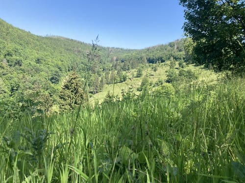 Um den Großen Staufenberg via Brockenblick und Roter Schuss