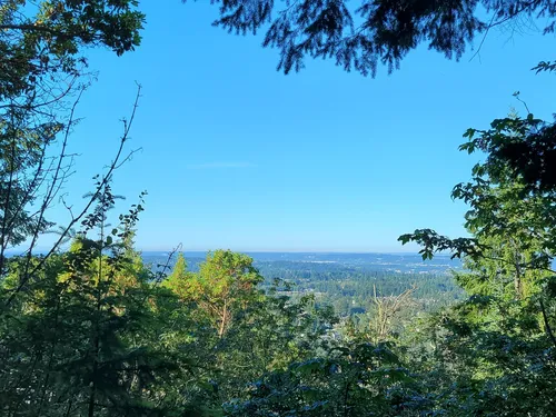 10 Best Hikes and Trails in Cougar - EyJidWNrZXQiOiJhc3NldHMuYWxsdHJhaWxzLmNvbSIsImtleSI6InVwbG9hZHMvcGhvdG8vaW1hZ2UvNDg3NTg3NTUvZWQxMDYyZDUzMGFmYmI2NmQ0N2VkYmIxZWZlY2NlMzkuanBnIiwiZWRpdHMiOnsidG9Gb3JtYXQiOiJ3ZWJwIiwicmVzaXplIjp7IndpZHRoIjo1MDAsImhlaWdodCI6NTAwLCJmaXQiOiJpbnNpZGUifSwicm90YXRlIjpudWxsLCJqcGVnIjp7InRyZWxsaXNRdWFudGlzYXRpb24iOnRydWUsIm92ZXJzaG9vdERlcmluZ2luZyI6dHJ1ZSwib3B0aW1pc2VTY2FucyI6dHJ1ZSwicXVhbnRpc2F0aW9uVGFibGUiOjN9fX0=