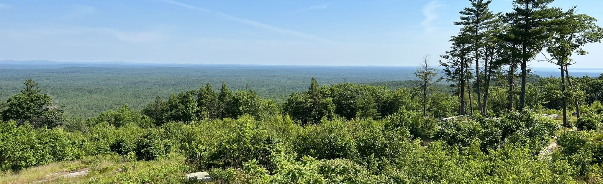 Third Hill via Sweet Fern and Notch Trail : 107 Reviews, Map - Maine ...