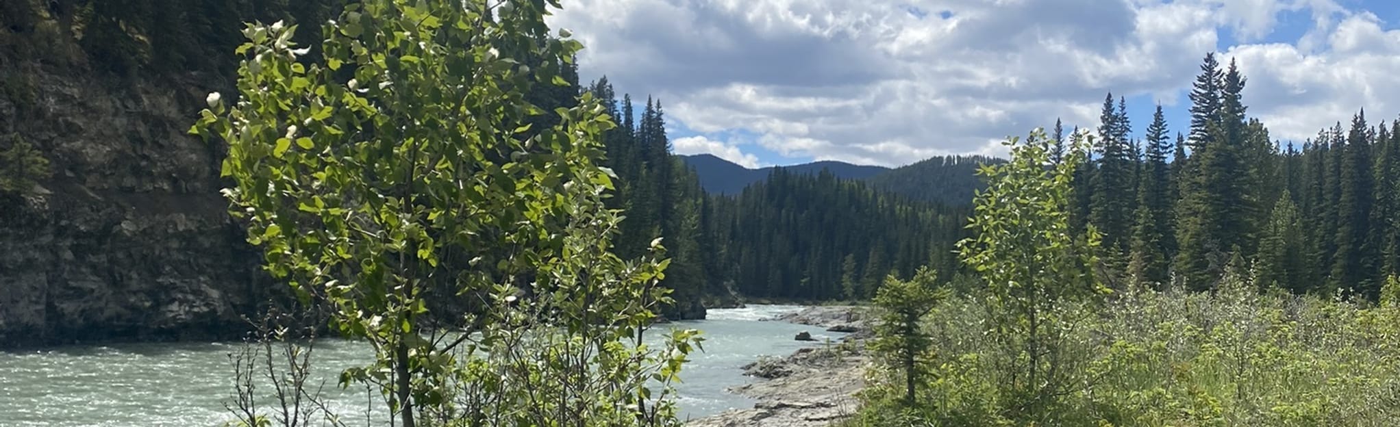 Elbow Valley Trail to Riverview Trail Loop 910 foto's Alberta