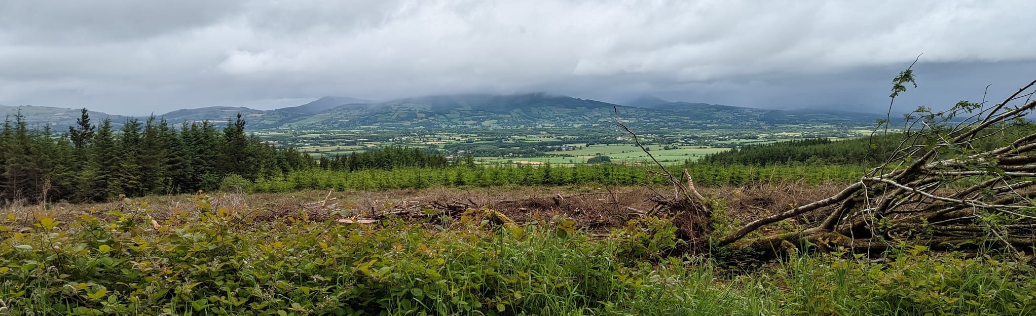 Skeheen Mountain Loop 55 fotos County Cork, República da Irlanda