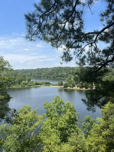 10 Best Trails And Hikes In Tuscaloosa Alltrails 7781