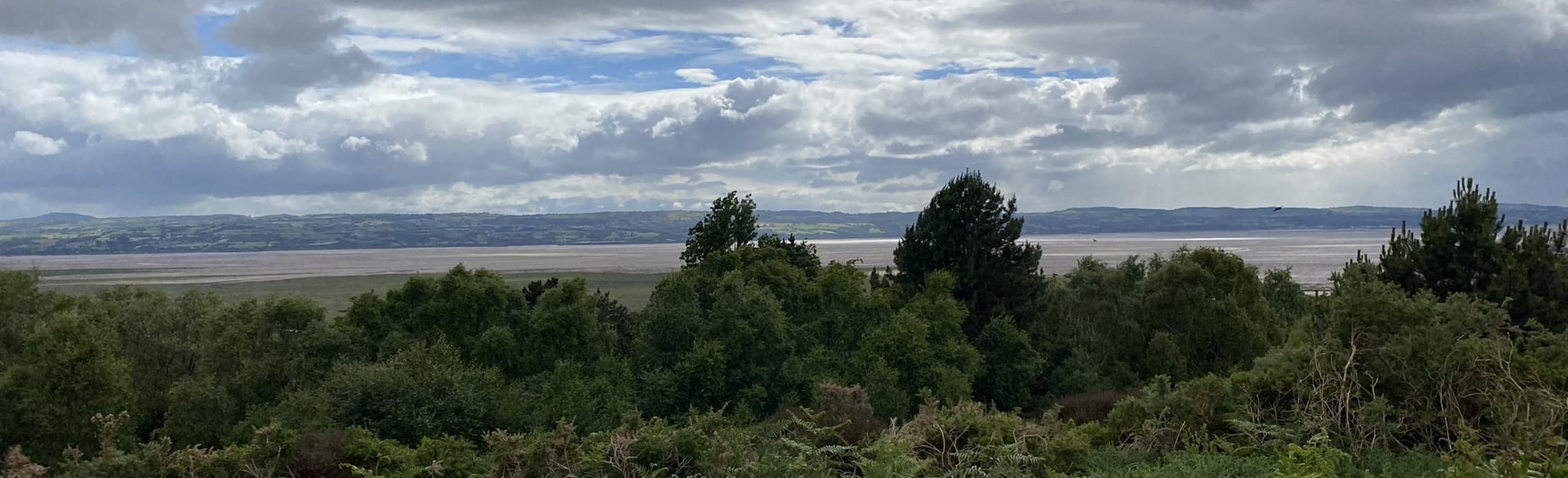 Heswall Dales Circular, Merseyside, England 11 Reviews, Map AllTrails