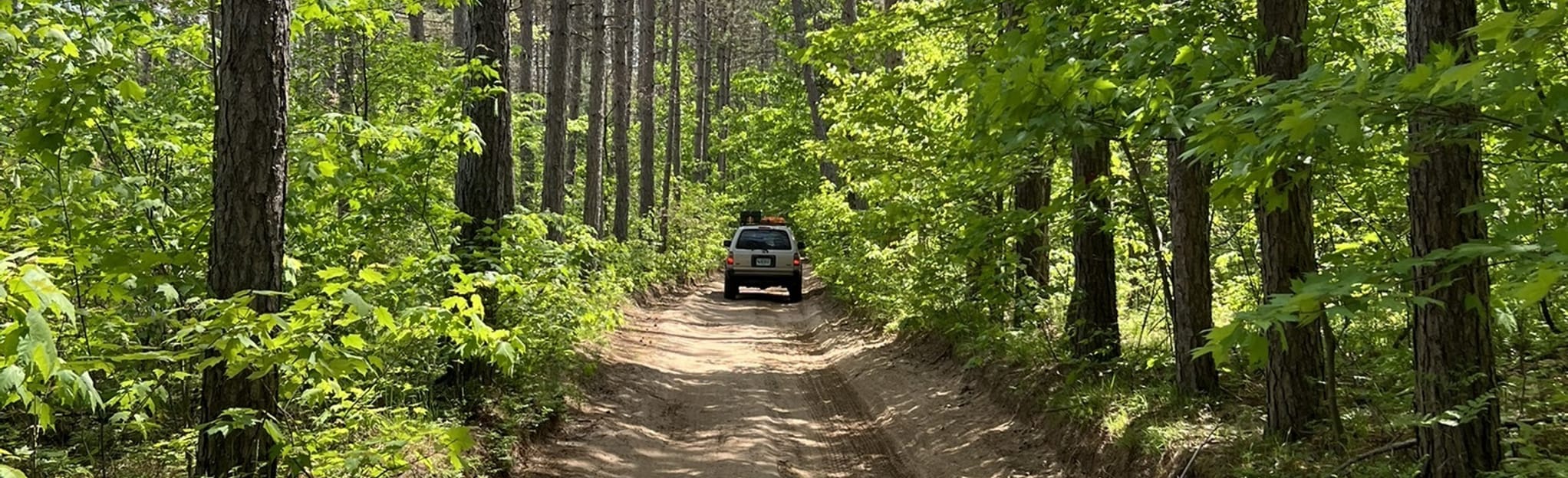 Tin Cup Spring ORV Trail, Michigan 30 Reviews, Map AllTrails