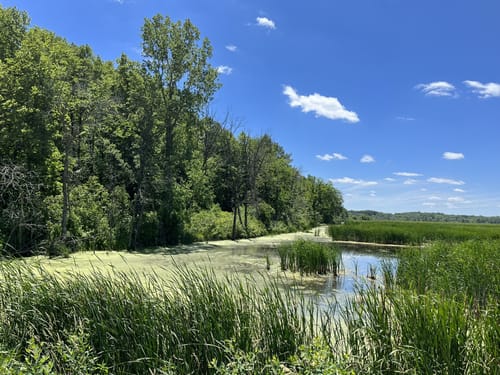 Horicon Marsh Hiking Trails Best 10 Trails In Horicon Marsh State Public Hunting Grounds | Alltrails