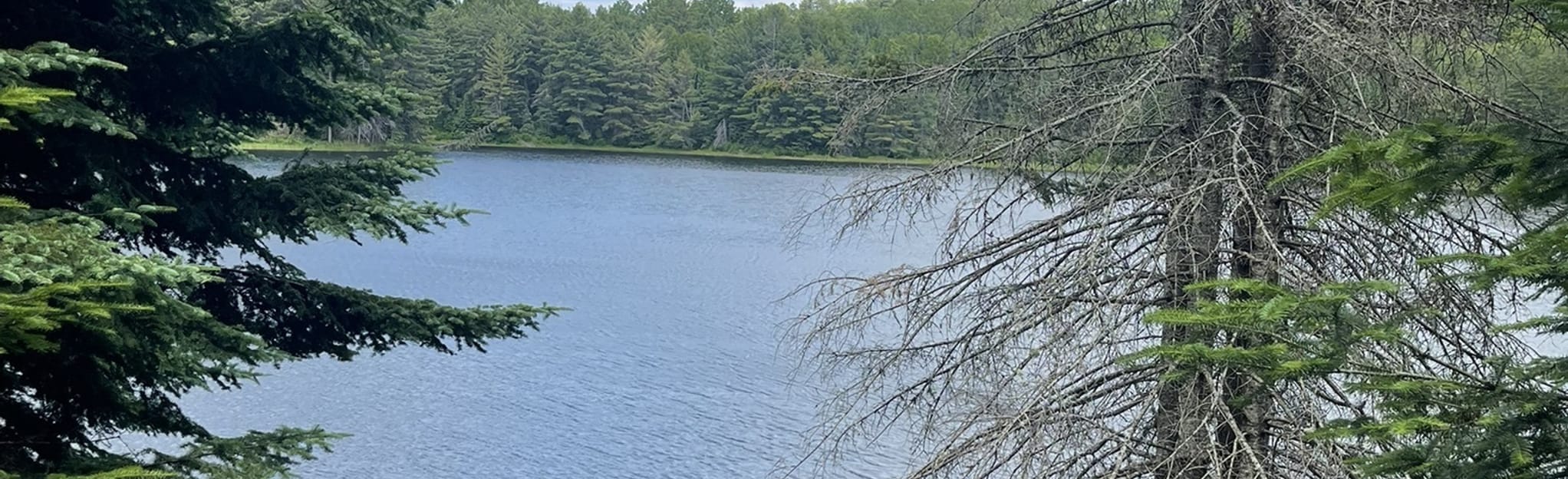 Hastings Heritage Trail Maynooth to Kuno Road, Ontario, Canada 2