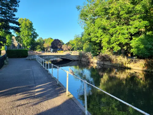 Best Walking Trails in Sutton | AllTrails