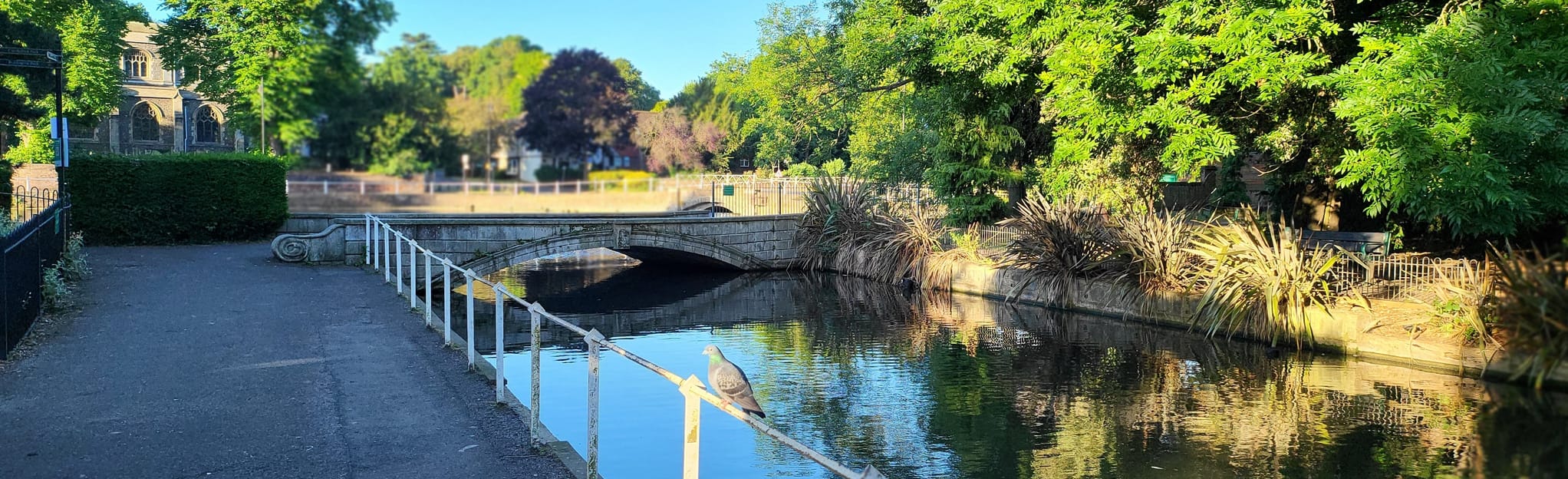 Beddington Park and Carshalton Circular, London, England 24 Reviews