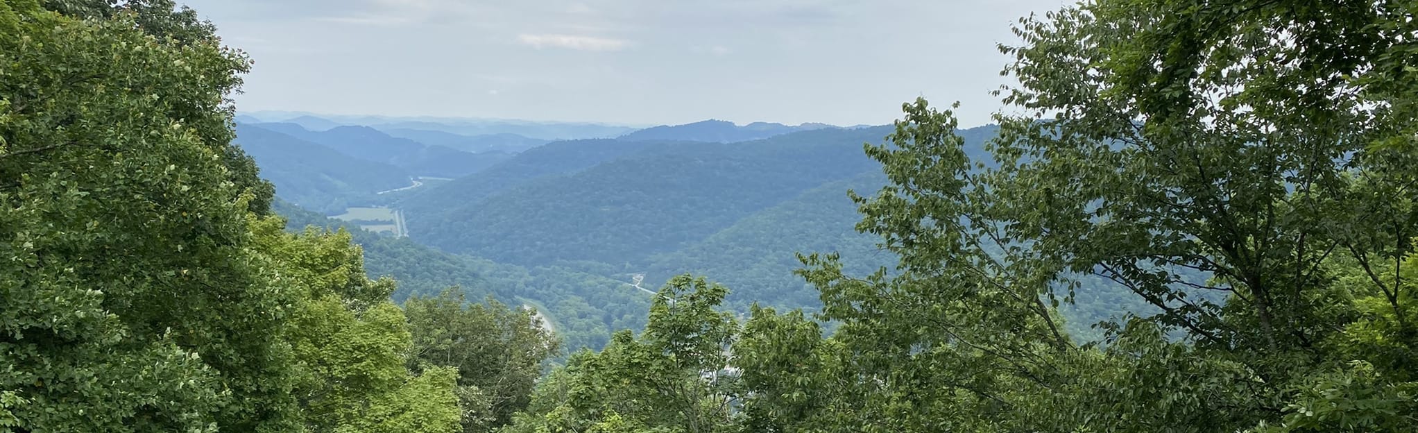 Timber Ridge Trail 32 Reviews, Map Kentucky AllTrails