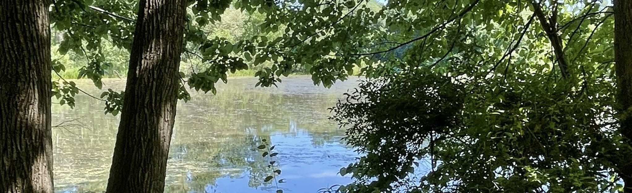 Wilderness Park Loop, Michigan 21 Reviews, Map AllTrails