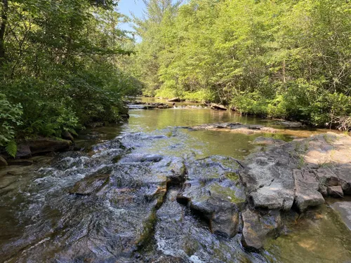 10 Best Hikes and Trails in Weiser State Forest | AllTrails