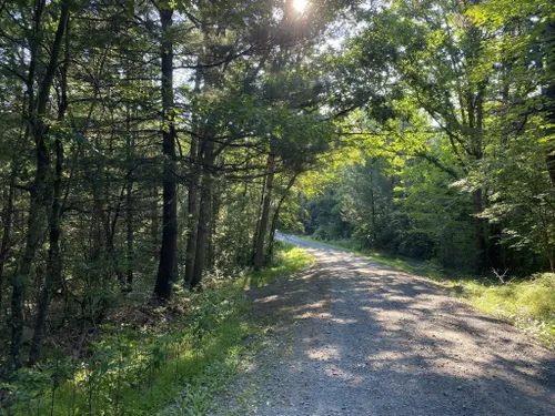 Best Wildlife Trails in Weiser State Forest | AllTrails