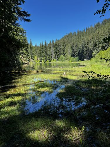 2023 Best 10 Trails and Hikes in Enumclaw | AllTrails