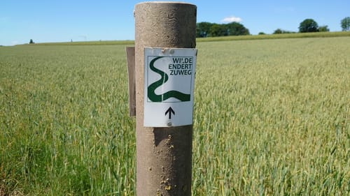 Bücheler Wanderweg 6