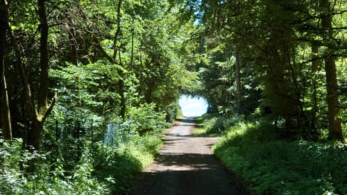 Bücheler Wanderweg 6