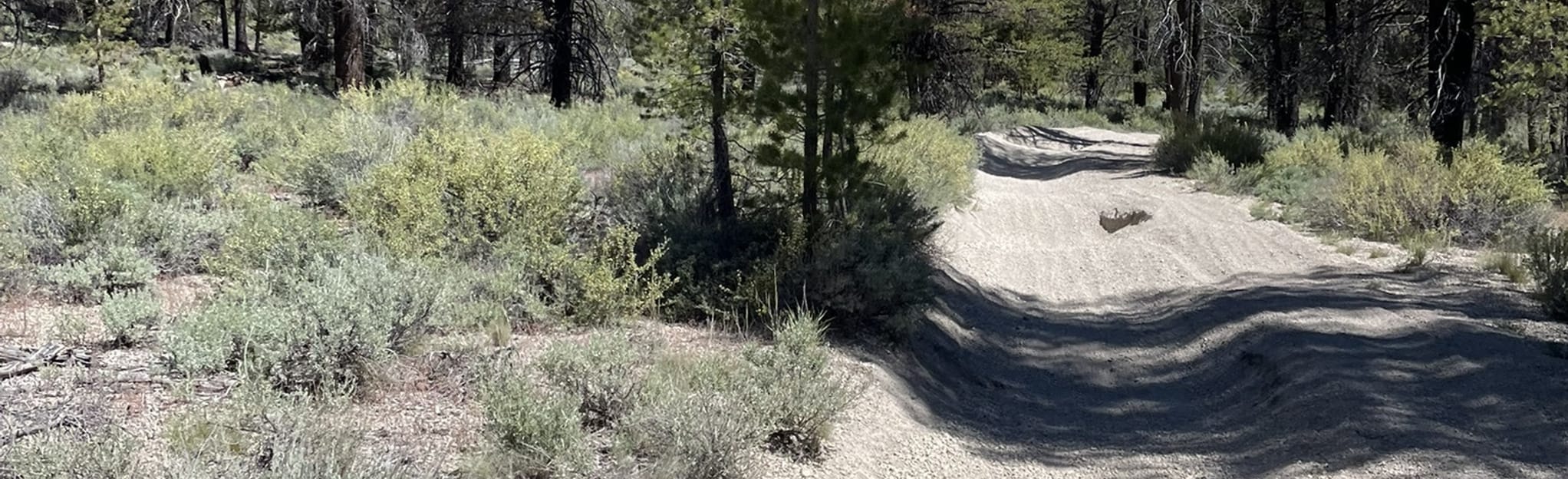 China Hat Butte, Oregon 4 Reviews, Map AllTrails