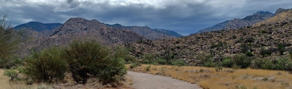 are dogs allowed at catalina state park