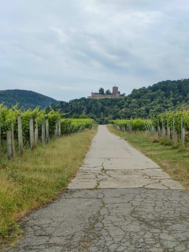 Burg Landeck ab Gleiszellen