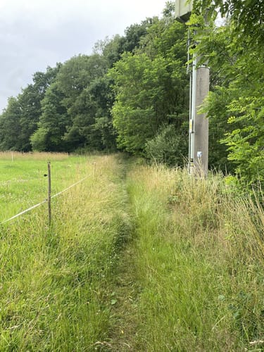Rundwanderweg N4 (Niederbreitbach)