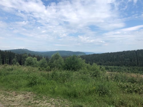 Von der Holzmühle zur Sennhütte im Osterwald