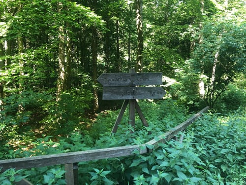 Von der Holzmühle zur Sennhütte im Osterwald