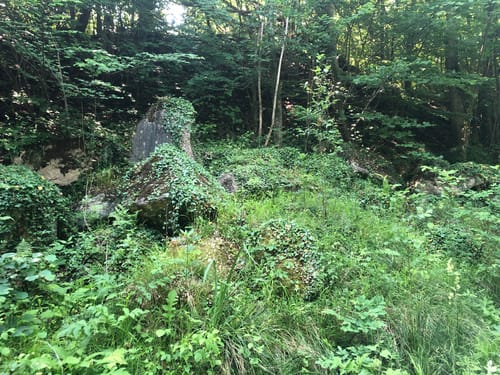 Von der Holzmühle zur Sennhütte im Osterwald