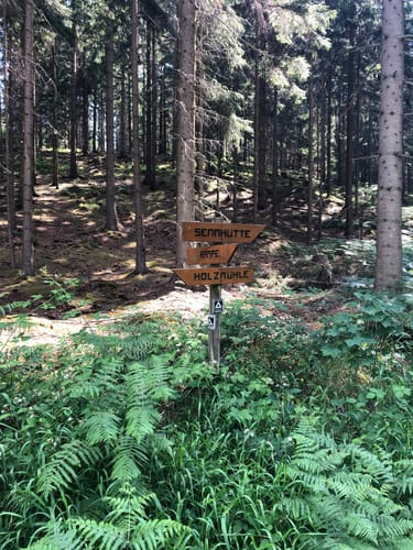 Von der Holzmühle zur Sennhütte im Osterwald