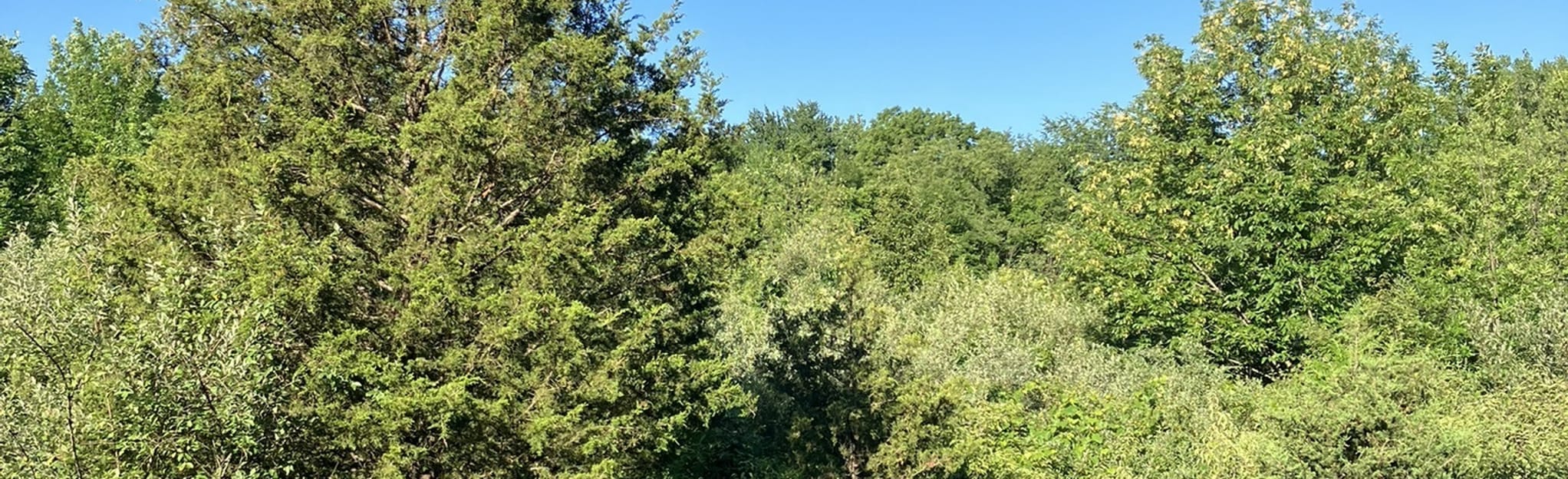 Alum Creek State Park Mountain Bike Trail Beginner Ohio AllTrails