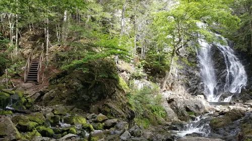 Review of Fundy National Park