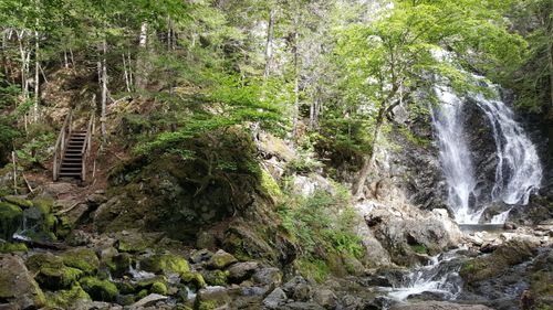 Fotos de Fundy National Park: Ver fotos e Imágenes de Fundy National Park
