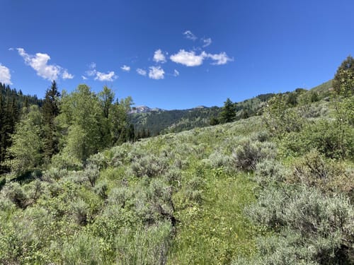 2023 Best Camping Trails in Bridger-Teton National Forest - Jackson ...