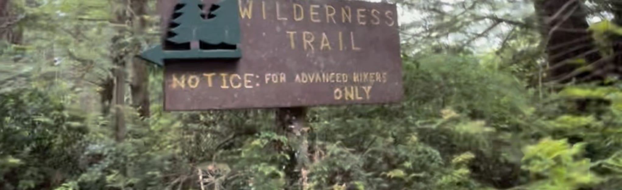 Trees of Mystery Trail 132 Reviews, Map California AllTrails