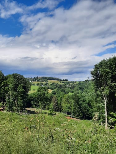 Waldmythenweg Waldbröl